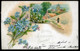 NAGYAR 1900. Ritka Egykörös Bélyegzés Századfordulós Képeslapon - Used Stamps