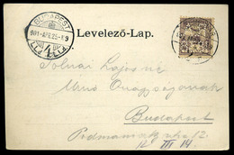 TEMESVÁR 1901. Képeslap, Céglyukasztásos Bélyeggel - Gebruikt