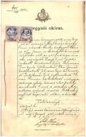 SÁTORALJAÚJHELY 1894. Közjegyzői Okirat , Dekoratív Komplett Dokumentum - Covers & Documents