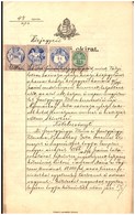 SÁTORALJAÚJHELY 1894. Közjegyzői Okirat , Dekoratív Komplett Dokumentum - Lettres & Documents