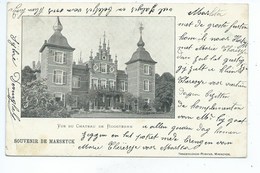 MAASEIK - Souvenir De MAESEYCK - Vue Du Château De ROOSTEREN - Kasteel - Maaseik