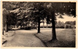 DOUR - Belvédère : Un Coin Du Parc - Dour