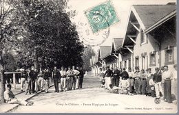 Delcampe - CAMP DE CHALONS  -  Ferme Hippique De Suippes  -  Très Belle Animation - Camp De Châlons - Mourmelon