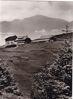 ALLEMAGNE .BELCHEN. HOTEL BELCHENHAUS. ANNEE 1966. ETCHE PHOTOGRAPHIE - Hochschwarzwald