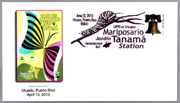 MARIPOSARIO JARDIN TANAMA. ORUGA - CATERPILLAR. Mariposa - Butterfly. Utuado, Puerto Rico, 2013 - Butterflies