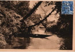 Soustons (Landes) Canal De Soustons, Barque - Cliché Vignes - Soustons