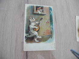 CPA Chat Cat Humanisés Gaufré Tirage Avant 1906 Musique Lune Mandoline - Katzen