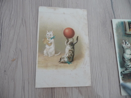 CPA Chat Cat Humanisés  Tirage Avant 1906 Cirque - Chats