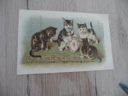 CPA Chat Cat Humanisés  Tirage Avant 1906 Assiette - Chats