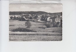 Oignies-en-thiérache - Carte Photo - La Place Verte - 1972 - Viroinval