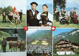 Gruss Aus NIDWALDEN Tracht Schwingen Alpabzug Kühe - Autres & Non Classés