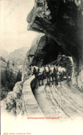 Suisse - Schweizerische Gebirgspost - Risch-Rotkreuz