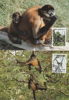 Honduras MONKEY 4x MAXI CARD 1990 - Monkeys