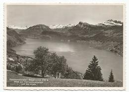 V3968 Hammetschwand Burgenstock - Blick Auf Vierwaldstattersee Und Die Alpen / Non Viaggiata - Autres & Non Classés