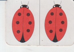 Children Trading Card, Maybe A Card Part Of A Playing Game - Ladybug Unused - Other & Unclassified