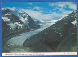 Canada; Jasper Park; Athabasca Glacier - Jasper