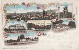 Austria - Gruss Aus Tulbing - Litho - Karlsdorf Doppler Gasthaus - Passauerhof - Schloss - Dorfinger - Tulln