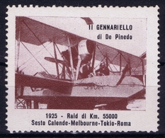 ITALY  AEREA  GENNARIELLO DI DE PINEDO 1924 RAID DI KM 55000 SESTE CALENDE MELBOURNE TOKIO ROMA VIGNET - Luchtpost