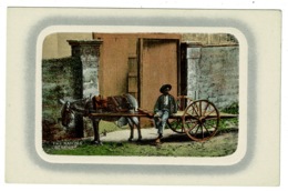 Ref 1333 - Early Bermuda Ethnic Postcard - "Two Natives" Donkey Cart & Young Boy - Bermudes