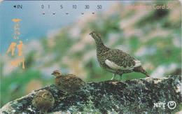 TC Japon / NTT 270-354 A - Animal - OISEAU LAGOPEDE & Poussins - GROUSE BIRD & Chicken Japan Phonecard - Hoenderachtigen & Fazanten