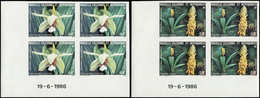 ** NOUVELLE CALEDONIE 520/21 : Orchidées, NON DENTELES En BLOCS De 4 CD 19/6/86, TB - Cartas & Documentos