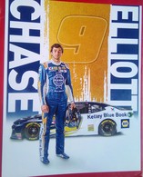 Chase Elliott Hero Card - Habillement, Souvenirs & Autres