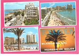 TORREVIEJA - Alicante