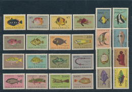 Portugiesische Kolonien In Afrika: 1938/1975, Beautiful Mint Never Hinged Collection Of The Portugue - Congo Portugais