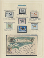 Thematik: Tiere-Hunde / Animals-dogs: 1960 - 1980 (ca.), Exhibition Collection On The Subject On 48 - Chiens