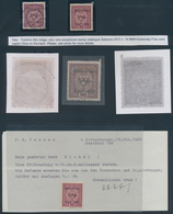 Österreich - Nebengebiete: 1918-1923, A Very Extensive Study Collection Of The Former Austrian Or Hu - Other & Unclassified
