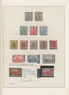 Deutsches Reich: 1872/1945, Ungebrauchte/postfrische Sammlung Von Brustschilde Bis III.Reich In Zwei - Collections