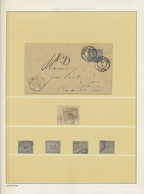 Deutsches Reich - Brustschild: 1872/74, Umfangreiche Spezialsammlung BRUSTSCHILD-(VER)FÄLSCHUNGEN -A - Colecciones