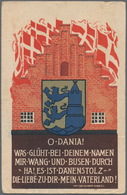 Deutsche Abstimmungsgebiete: Schleswig: 1920, Vielseitige Partie Von 37 Propagandakarten (deutsch/dä - Otros & Sin Clasificación