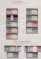 Berlin - Rollenmarken: 1956/1989, Postfrische Spezial-Sammlung Der Rolenmarken Mit Meist 3er- Und 5e - Roulettes