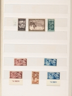 Saarland (1947/56): 1947/1959 Saubere Postfrische Pracht-Sammlung Saarland Im Einsteckbuch, Bis Auf - Neufs