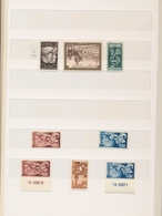 Saarland (1947/56): 1947/1959 Saubere Postfrische Pracht-Sammlung Saarland Im Einsteckbuch, Bis Auf - Unused Stamps
