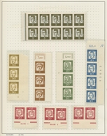 Bundesrepublik Deutschland: 1951/2000, Umfassende Postfrische Spezialisierte Sammlung Meist Der Daue - Collections