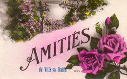 Amitiés De Ville- Sur- Haine. Fleurs. - Le Roeulx