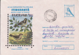 85036- HOUSE SPARROW, BIRDS, COVER STATIONERY, 1995, ROMANIA - Passeri