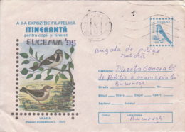 85037- HOUSE SPARROW, BIRDS, COVER STATIONERY, 1995, ROMANIA - Passeri