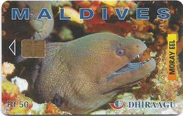 Maldives - Dhiraagu (chip) - Morey Eel - 274MLDGIA - Chip Siemens S35, 50MRf, Used - Maldives