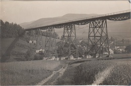 Foto Rohling AK Markersbach Eisenbahn Zug Brücke Viadukt Mittweida A Raschau Scheibenberg Schwarzenberg Vogel Erzgebirge - Scheibenberg