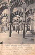 Cordoba Laberinto De Columnas En La Mezquita - Córdoba