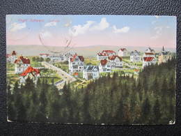 AK PÖHL JOCEKTA Vogtland 1921  / D*42162 - Pöhl