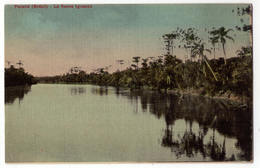 6655 - Etat De Parana ( Brésil ) Curitiba - Le Fleuve Iguassu - Photo-peinture A. Breger Frères - - Curitiba