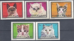 FUJEIRA, Chats, Chat, Cats, Gatos, Yvert N° 588/92 ** MNH - Chats Domestiques
