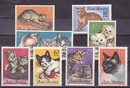 ROUMANIE, Chats, Chat, Cats, Gatos, Yvert N° 2110/17 ** MNH - Chats Domestiques