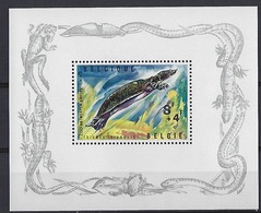 BELGIQUE, Tortue, Tortues, Reptiles, Turtle, Tortuga. Yvert BF 39 Neuf Sans Charniere **. MNH - Tartarughe