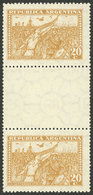 ARGENTINA: GJ.684EH, Revolution 20c., Gutter Pair, Mint Almost MNH, The Perforation Is A Little Weak, Handsome, Low Star - Autres & Non Classés