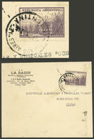 ARGENTINA: Cover Used In 1955, Franked With 50c. Sugarcane With "LR" Perfin Of La Razón, VF!" - Otros & Sin Clasificación